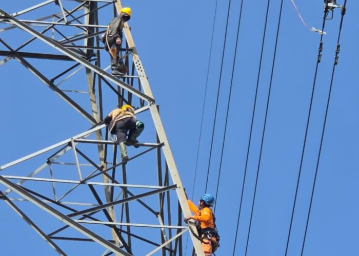 Listrik di Riau Kembali Normal 100 Persen, Perjuangan Nonstop Petugas PLN Berhasil Taklukkan Pemadaman Massal