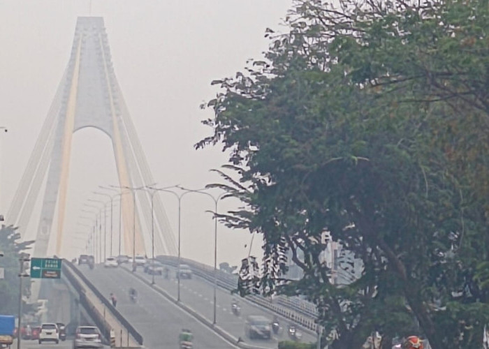 Kualitas Udara Pekanbaru Sangat Tidak Sehat, Hotspot Karhutla di Sumatera Tembus 4.737 Titik