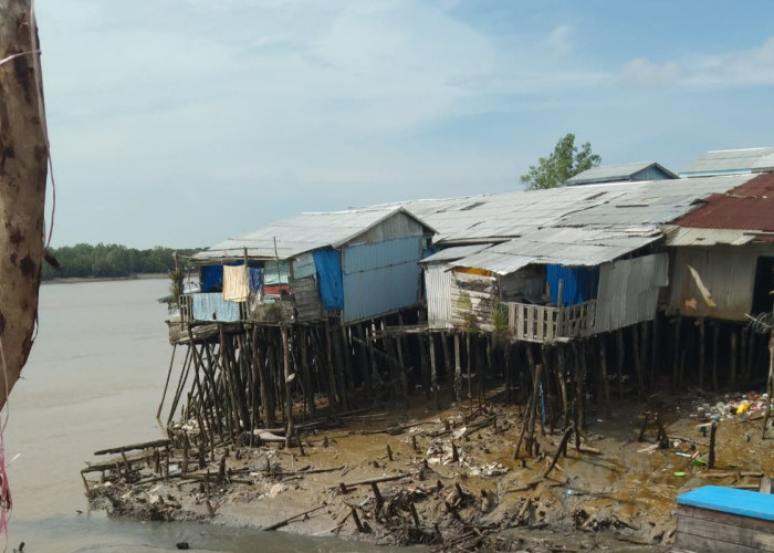 Hantaman Ombak Picu Longsor Sabet Belasan Rumah di Kuala Enok, 4 Hanyut ke Sungai!