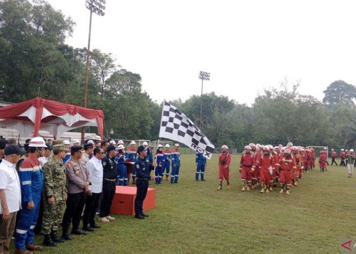 Riau Siaga! 7 Titik Gambut Kritis Picu Alarm Karhutla, Menteri LH Ingatkan Ancaman Terburuk Bisa Terulang