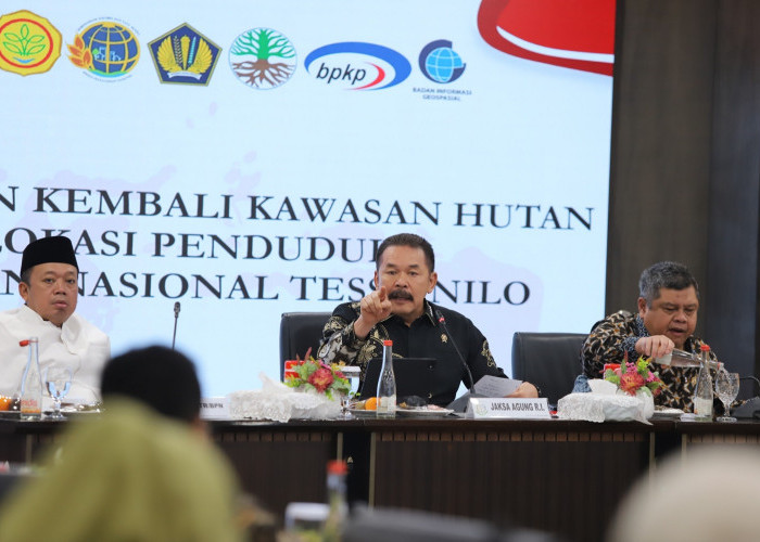 Satgas PKH Kembalikan 1 Juta Hektare Hutan, TNTN Riau Tinggal 12 Ribu Hektare