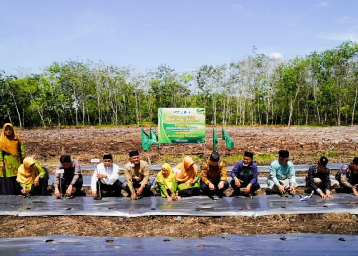 UMRI Gandeng BI dan Pemkab Kampar, Tanam Cabai Demi Ketahanan Pangan Nasional