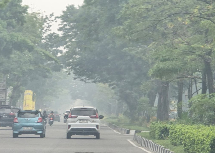 Kabut Asap di Pekanbaru Makin Parah, Sekolah Tutup