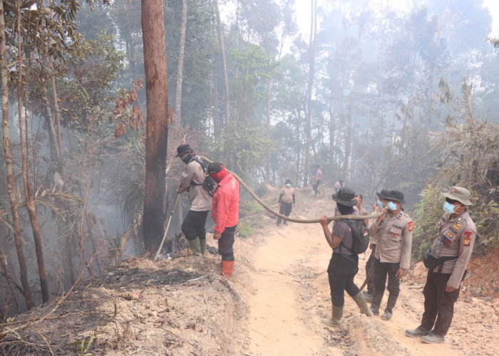 Kabut Asap Karhutla Memburuk, 11 Ribu Warga Riau Terserang ISPA dalam Dua Pekan