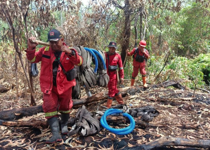 Gawat! Sempat Nyaris Lahap Kebun Sagu, Karhutla Bengkalis Akhirnya Padam Total Setelah Sepekan Mencekam