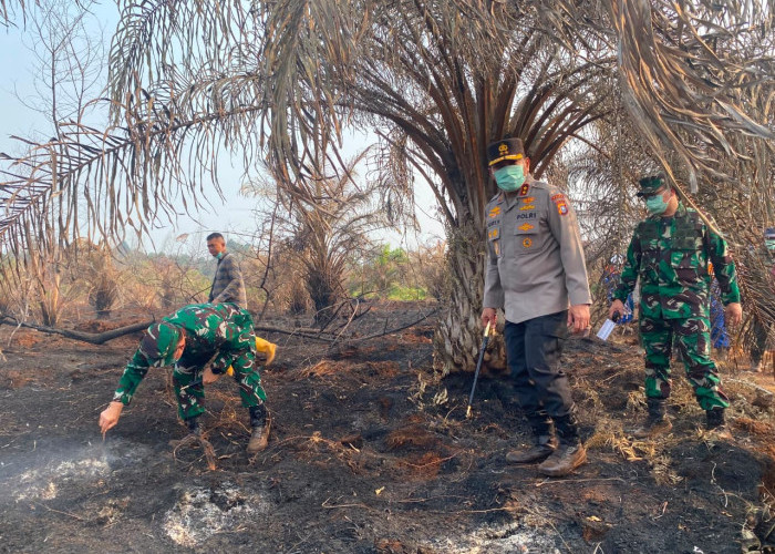 Siak Siaga Karhutla: Kapolda dan Pangdam Turun Gunung Cek Pemadaman Lahan