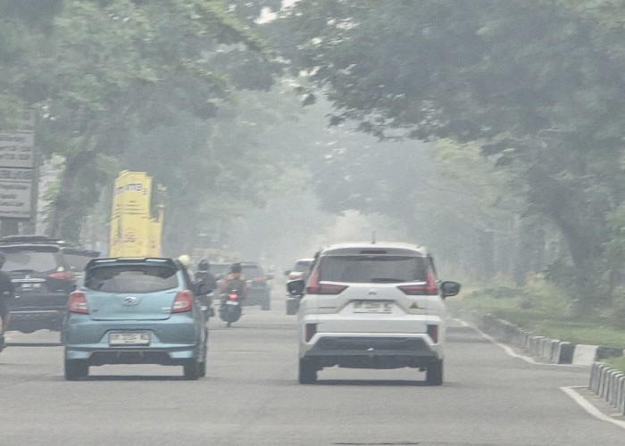 Kabut Asap Kepung Pekanbaru: Udara Berbahaya, Anak-anak Jatuh Sakit