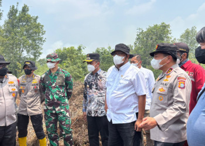 Kebakaran Hutan Riau: Menteri LH dan Kapolda Tinjau Lokasi Karhutla di Kampar