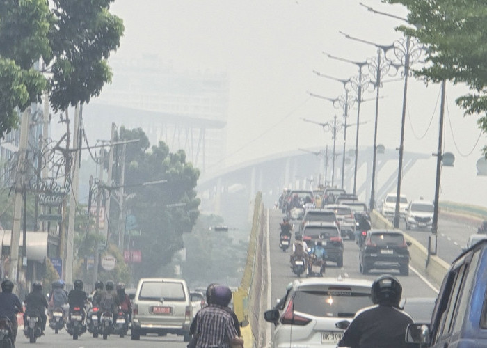 Sumsel Dominasi 2.828 Titik Panas, Asap Sampai ke Riau, Jarak Pandang 600 Meter