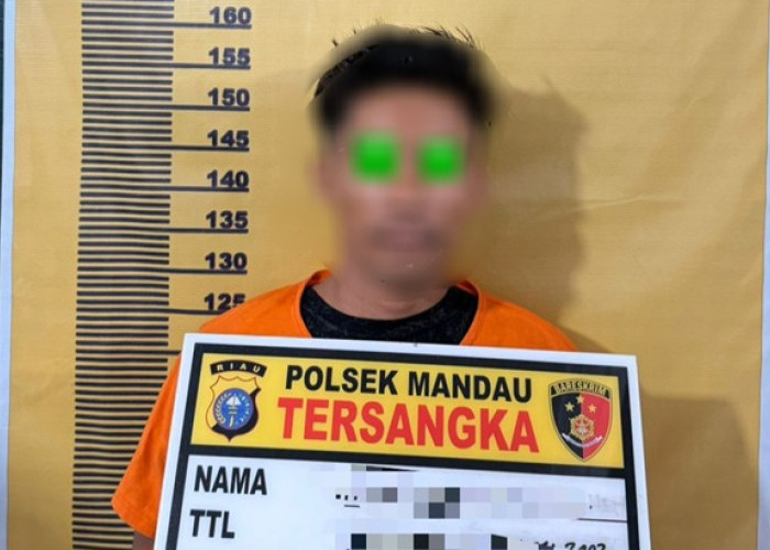 Terbongkar dari Ruang BK, Pemuda di Mandau Akhirnya Ditangkap usai Diduga Cabuli Anak Berkali-kali