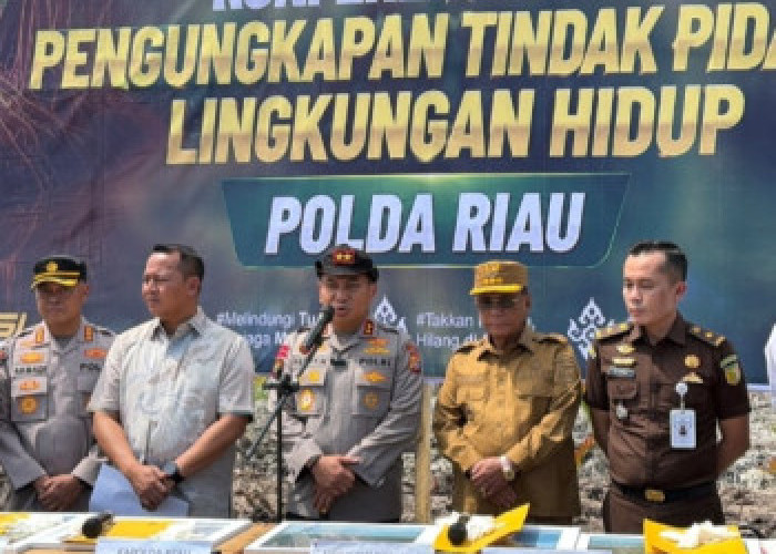 Polda Riau Usut Pembabatan 118 Hektare Mangrove Rohil, BKSDA Buka Suara