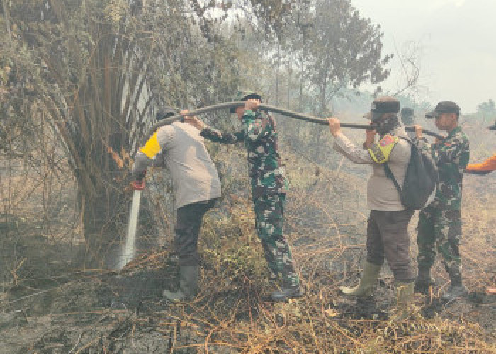 Kebakaran Lahan Gambut Bengkalis Hanguskan 11 Hektare, Petugas Kerahkan Helikopter
