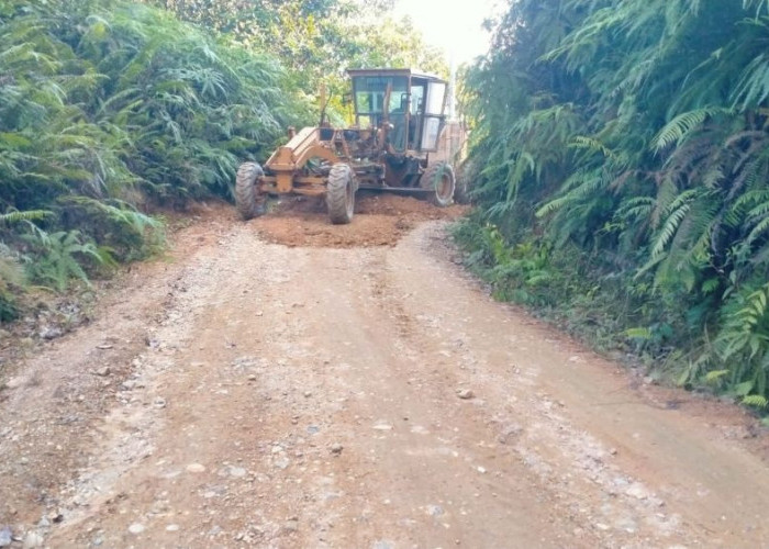Perbaikan Jalan Lubuk Agung-Batu Sasak Dikebut, Pemprov Riau Fokus Buka Akses Kampar Kiri Hulu