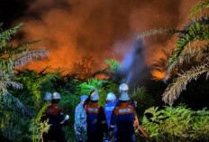 Kebakaran Lahan Gambut Siak Ancam Sumur Minyak BSP, Petugas Bertaruh Nyawa Dikawal Senjata