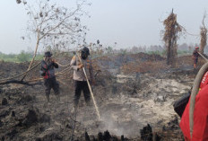 Sebaran 171 Titik Panas Karhutla Riau Pekat Asap! Luas Lahan Terbakar Tembus 16 Ribu Hektare