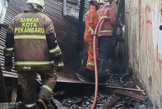 SIAGA SATU! Kebakaran Hebat Hanguskan Rumah Bulat di Pekanbaru, Warga Marpoyan Damai Panik