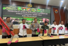 Gawat! Perambah Nekat Rusak Tenda TNI, Polda Riau Sikat 9 Orang di Tesso Nilo