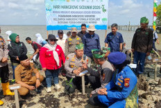 Mangrove Meranti Jadi Benteng Pesisir, Polisi dan Warga Gaspol Tanam Bibit di Lukit 