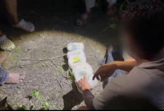 Sabu 7 Kg Dikubur di Tanah, Polisi Bongkar Jaringan Narkoba di Riau