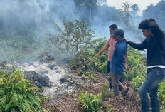 Tak Sampai 24 Jam, Polres Bengkalis Ringkus Pelaku Pembakaran Lahan di Desa Pedekik