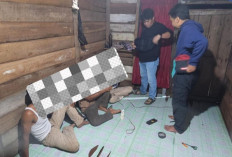 Cuma Lewat Chat WA! Polres Bengkalis Bongkar Sindikat Perdagangan Manusia Internasional, 12 Orang Diringkus!