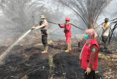Kebakaran Lahan di Bengkalis Capai 1,5 Hektare, Tim Gabungan Sigap Padamkan Pusat Api