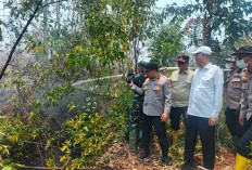 Kapolda Riau Turun Gunung, Dumai Terbakar 56 Hektare Lebih: Akankah Langit Riau Kembali Memerah?