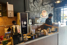 Geger! Kopi Liberika Meranti Asal Riau Sukses Taklukkan Lahan Gambut, Kini Jadi Incaran Nasional!