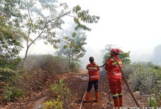 SIAGA SATU! Riau Dikepung Api Jelang Kemarau Ekstrem, 11 Wilayah Sudah Angkat Tangan!