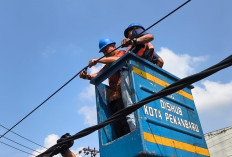 Penertiban Kabel Fiber Optik Pekanbaru Dimulai, Wali Kota Turun Tangan Potong Jalur Ilegal!