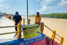 Buaya Mengintai di Sungai Kuansing, Polisi Pasang Peringatan Jelang Pacu Jalur