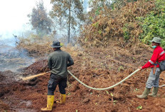 Karhutla Sumatera Makin Gawat, 1.436 Hotspot Terdeteksi! Riau Siapkan Hujan Buatan