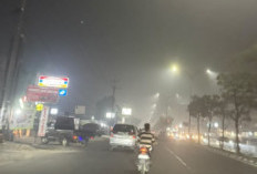 Bahaya Asap Karhutla Riau Kian Darurat: Pemprov Siagakan Posko Kesehatan dan Rumah Oksigen
