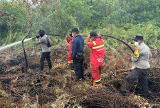 Kebakaran Hutan Bengkalis Meluas 80 Hektare, 117 Personel dan 3 Helikopter Dikerahkan