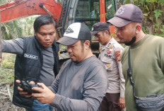 Nekat Buka Lahan Pakai Api, 4 Pelaku Karhutla di Siak Ditangkap Polisi