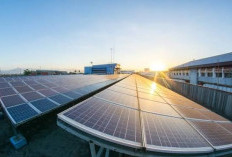 PLTS 100 GWp Dikebut, Badan Bank Tanah Siapkan 76 Ha di Purwakarta