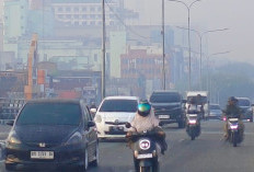 Empat Daerah di Riau Diselimuti Kabut Asap, Ribuan Titik Panas Karhutla Tersebar di Sumatera