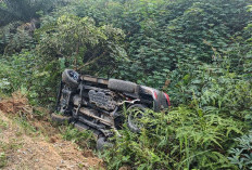 Aksi Kejar-kejaran, Mobil Fortuner Milik Pengedar Sabu Terbalik di Rokan Hilir