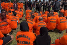 Operasi Antik Lancang Kuning 2026: Polda Riau Ringkus 557 Tersangka Narkoba