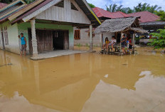 Banjir Kuansing Rendam 526 Rumah, Empat Kecamatan Lumpuh usai Sungai Kuantan Meluap