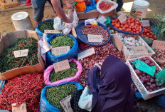 Awas Harga Pangan Meledak! BPS Riau Beri Peringatan Keras Jelang Lebaran, Cek Daftar Komoditasnya!