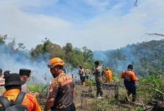 Siaga Satu! Karhutla Riau Mulai Membara di 6 Wilayah, Pemerintah Belum Tekan Tombol Darurat?