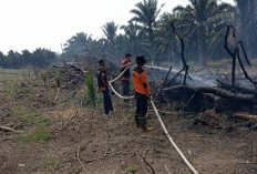 Karhutla Kampar Berhasil Dipadamkan, Api Nyaris Meluas ke Area Perkebunan Warga