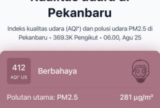 Pekanbaru Dikepung Kabut Asap Bahaya Ekstrem Usai Kunjungan Presiden Prabowo