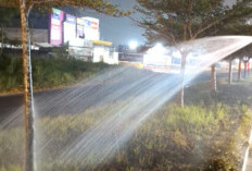 Atasi Musim Kemarau, DLHK Pekanbaru Guyur Ratusan Ribu Liter Air demi Taman Kota