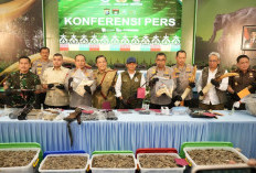 Gajah Sumatera Dibantai Demi Gading! Sindikat Perburuan Kelas Kakap Akhirnya Diciduk, Otak Pelaku Tertangkap