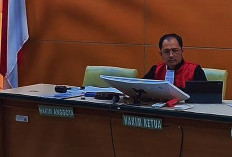 Prahara Hukum di Teluk Weda: Eks Wakapolri Sebut Penyidikan Direktur PT WKM Tabrak Aturan Main