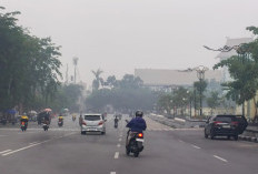 Dampak Karhutla, Kasus ISPA di Riau Melonjak Tembus 35.910 Kasus