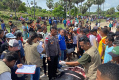 Brimob Polda NTT Evakuasi 20 Ekor Paus Pilot yang Terdampar Mati di Rote Ndao