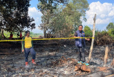 Karhutla Gegara Pembukaan Kebun Sawit, Polisi Tangkap Pria Inisial S